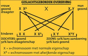 bron: www.kennislink.nl