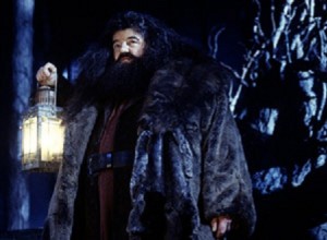 Hagrid