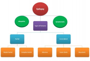 Epilepsy Flowchart