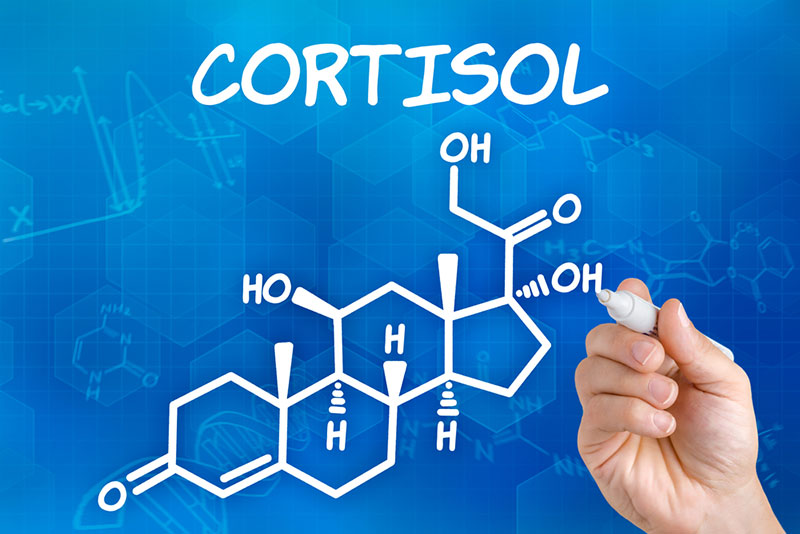 cortisol